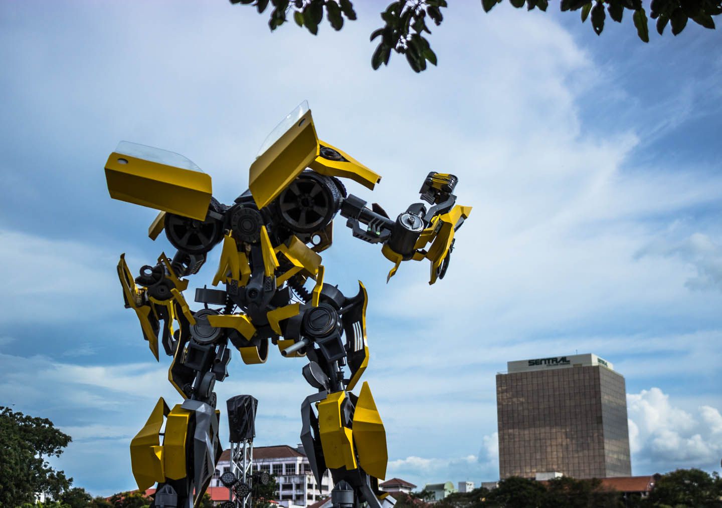 Bumblebee in George Town, Malaysia