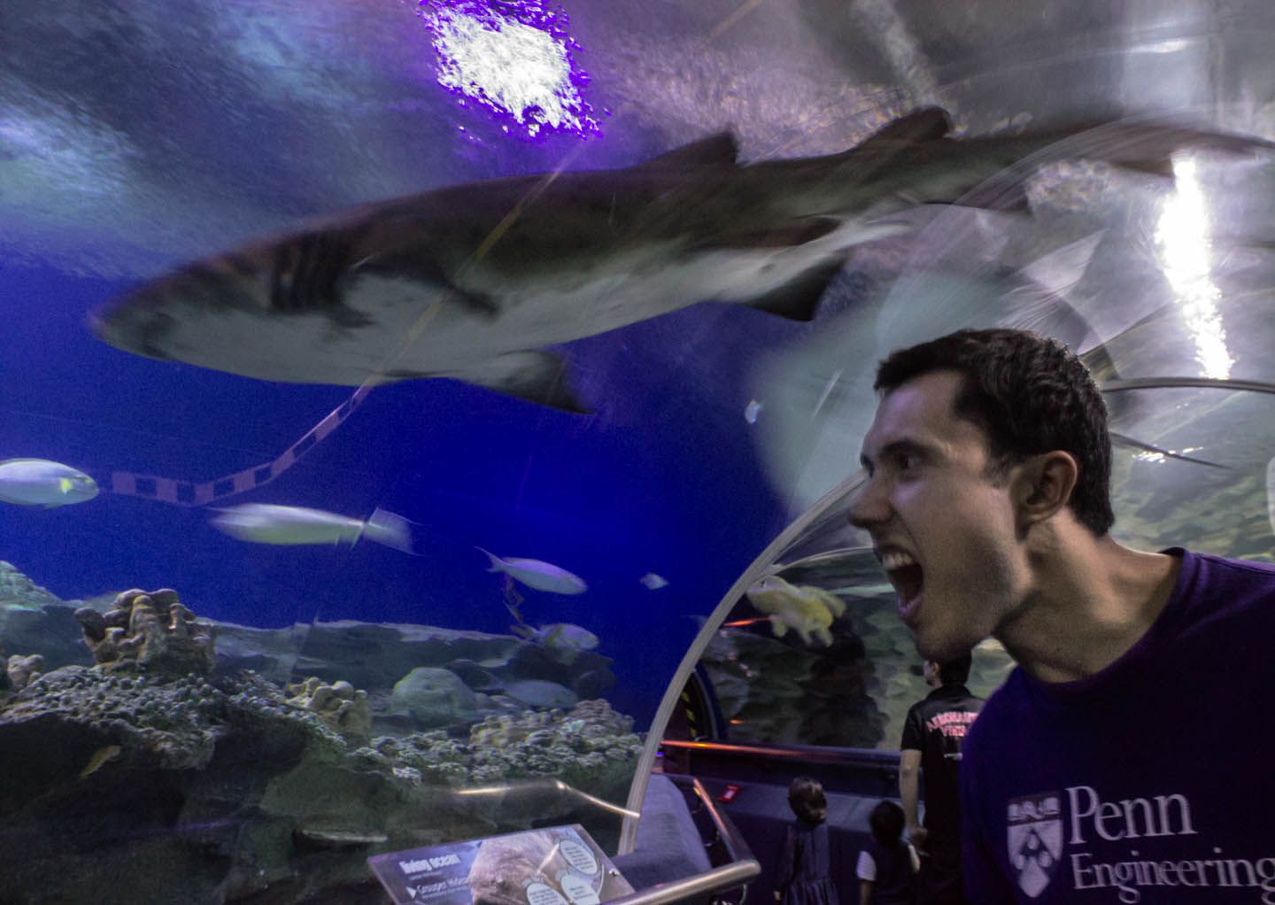 Carlos playing with the shark, KLCC Aquaria, Kuala Lumpur, Malaysia