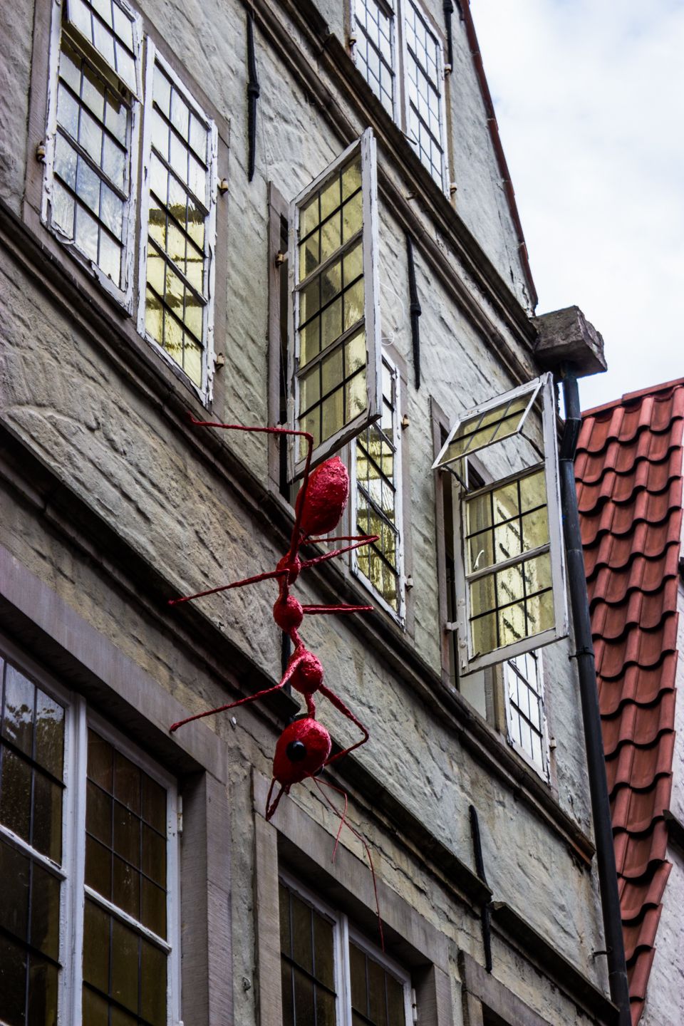 Huge ant on the walls of houses in Bremen, Germany