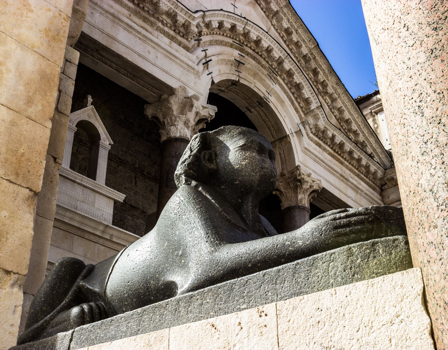 Real Sphynx imported from Egypt, Split, Croatia