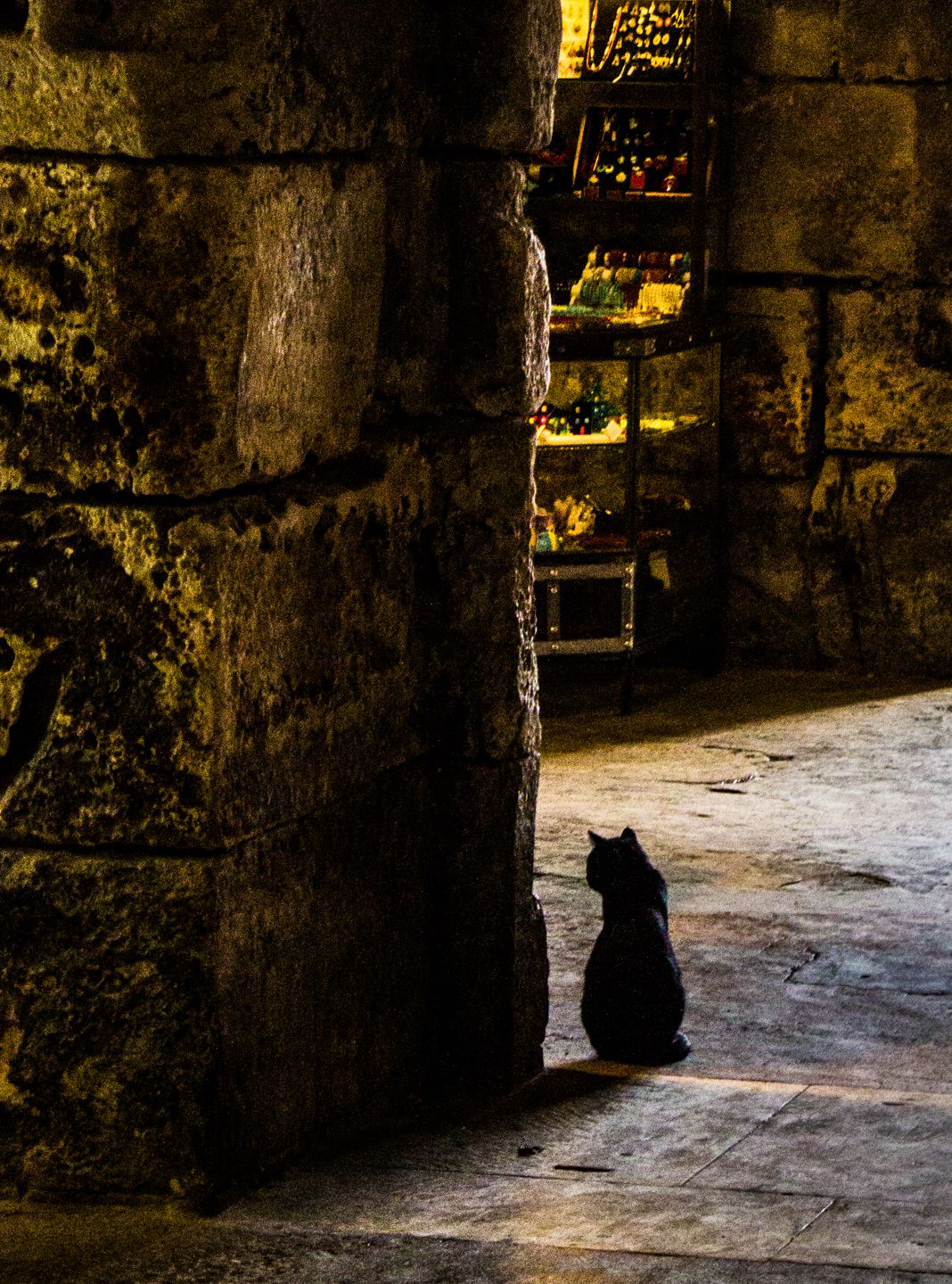 Cat at the Iron Gate of Diocletian's Palace, Split, Croatia