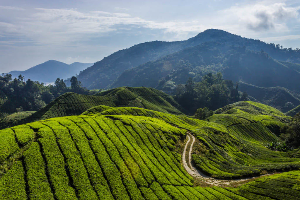 Malaysia