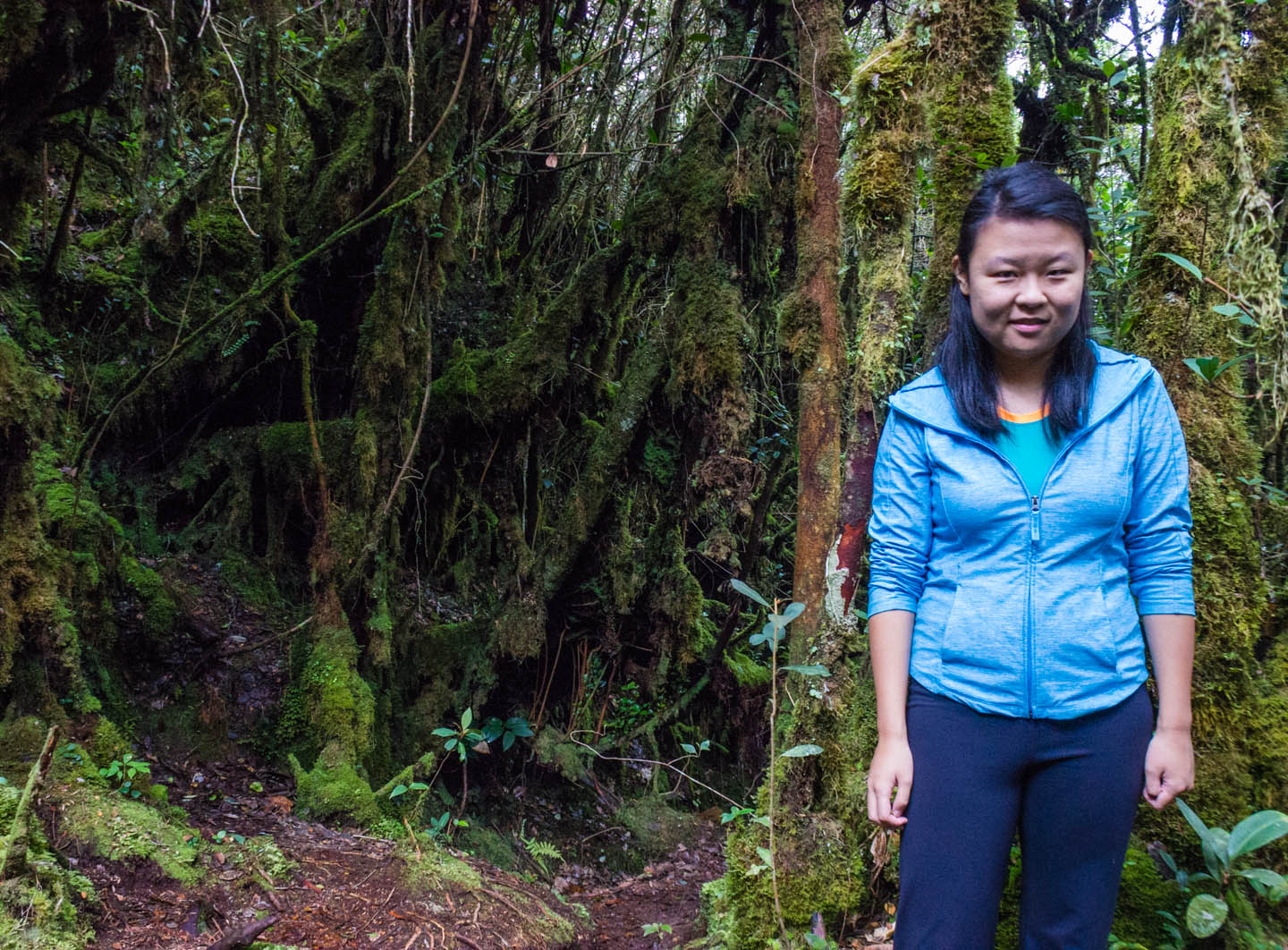 Julie at the mossy forest, Cameron Highlands, Malaysia