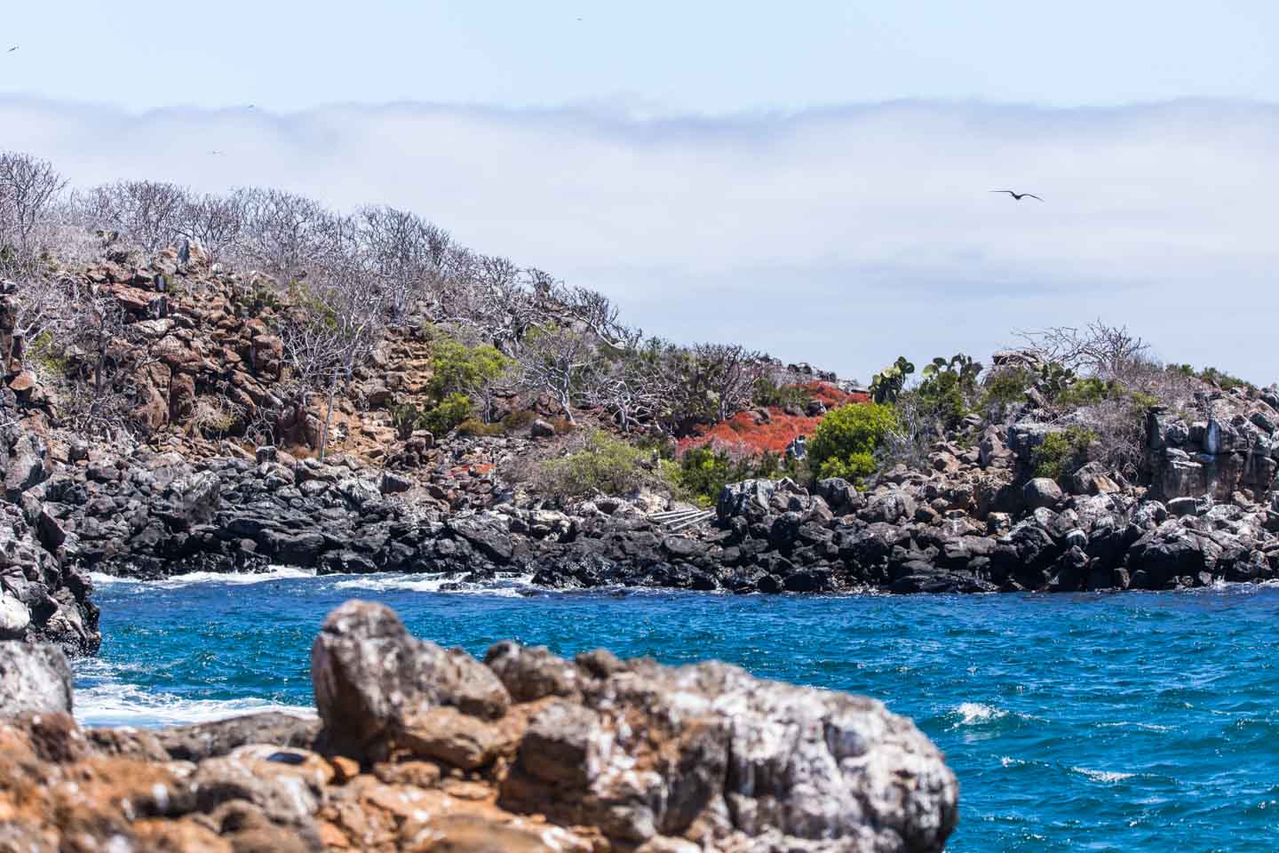 Arriving on the rocky and wavy shores of North Seymour Island, Galápagos Islands, Ecuador