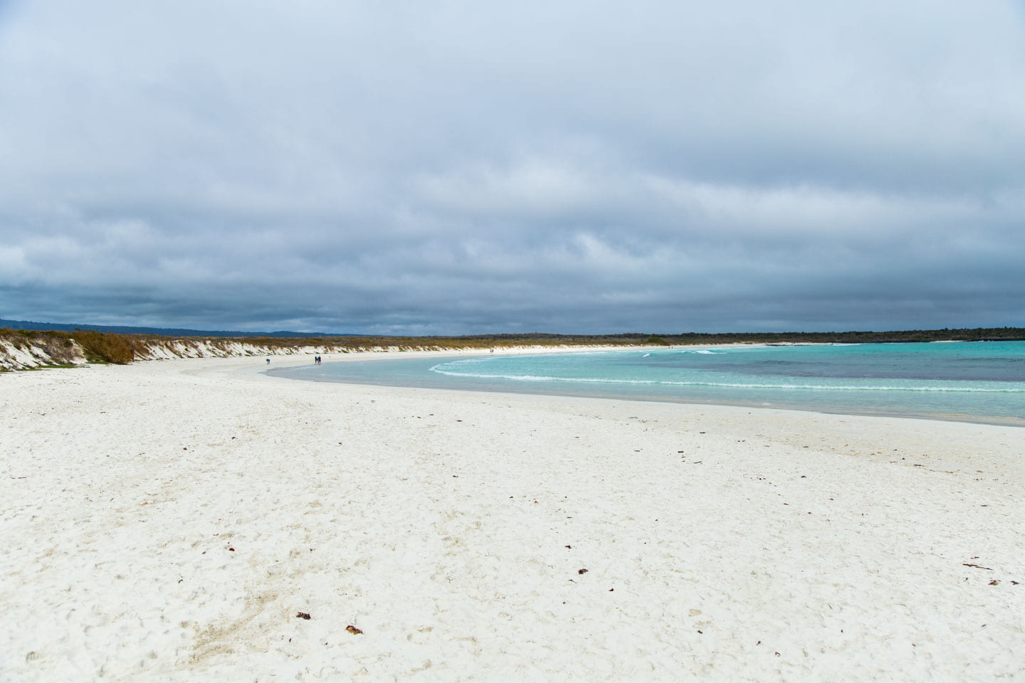 Soft, white sand beach of Playa Brava at Tortuga Bay, Santa Cruz Island, Galápagos Islands, Ecuador