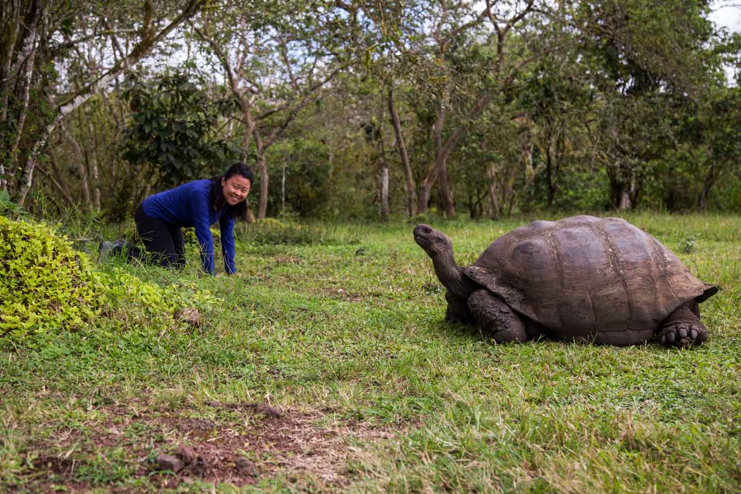 Julie pretending to be a giant tortoise, Reserva El Chato, Santa Cruz Island, Galápagos Islands, Ecuador