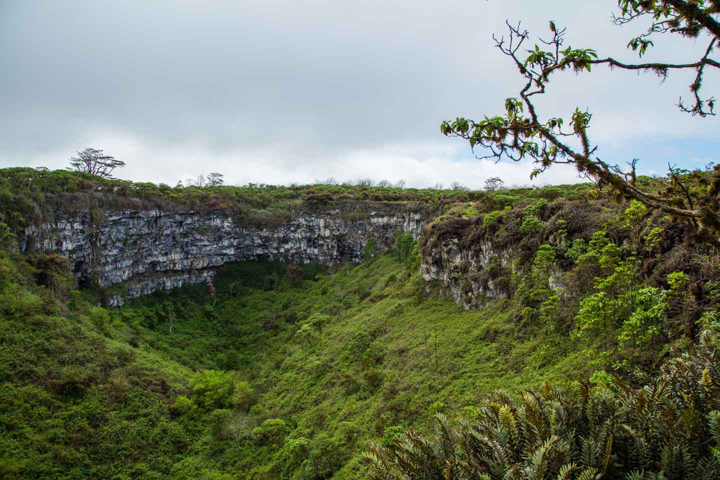One of the two sinkholes at Los Gemelos, Santa Cruz Island, Galápagos Islands, Ecuador