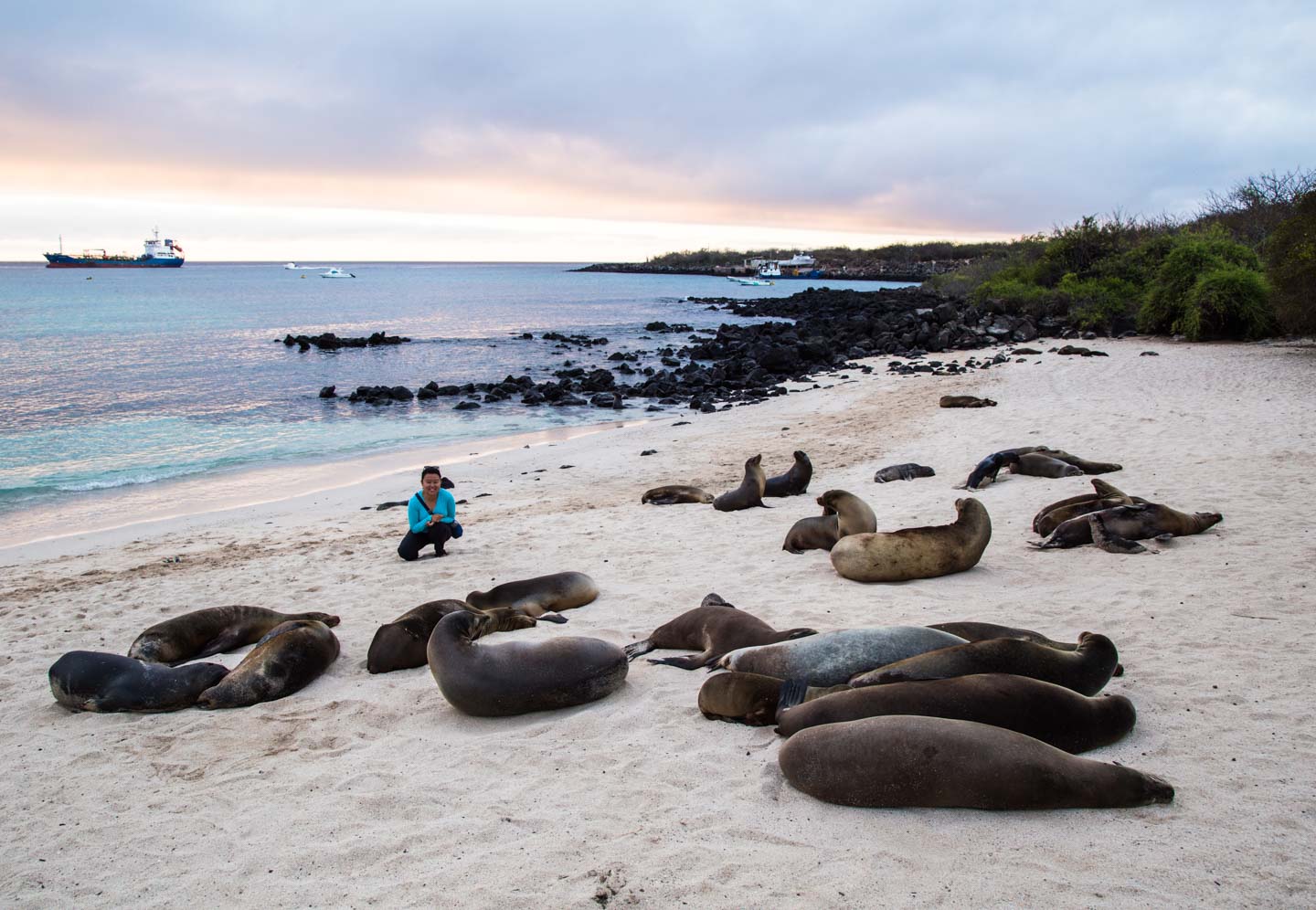 Julie amongst a colony of sea lions on Playa Mann, San Cristóbal, Galápagos Islands, Ecuador