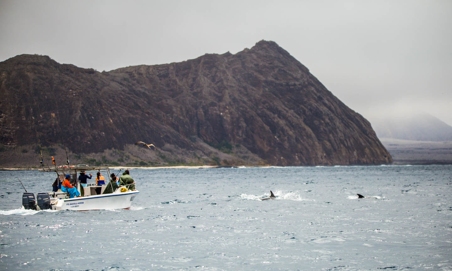 Ecuador: Galápagos Islands