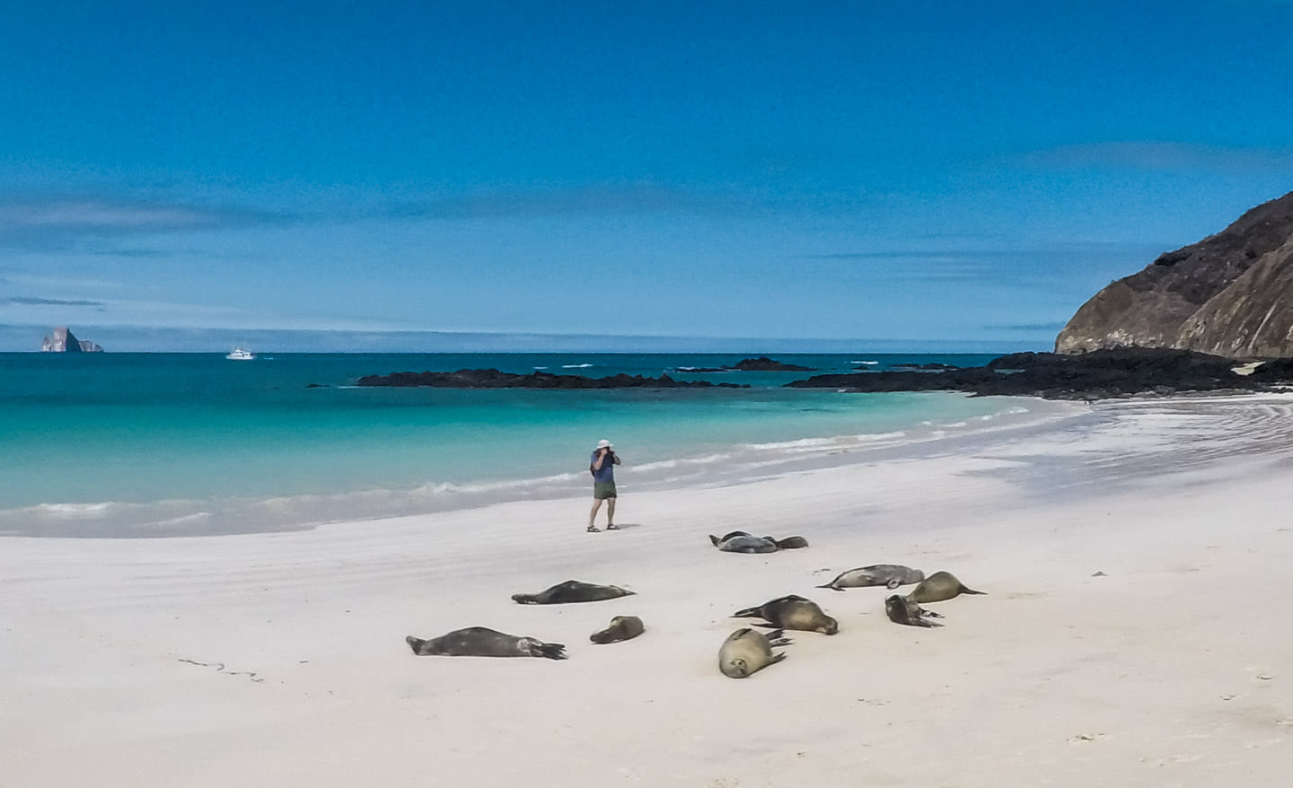 Sea lions on Playa Cerro Brujo, San Cristóbal, Galápagos Islands, Ecuador
