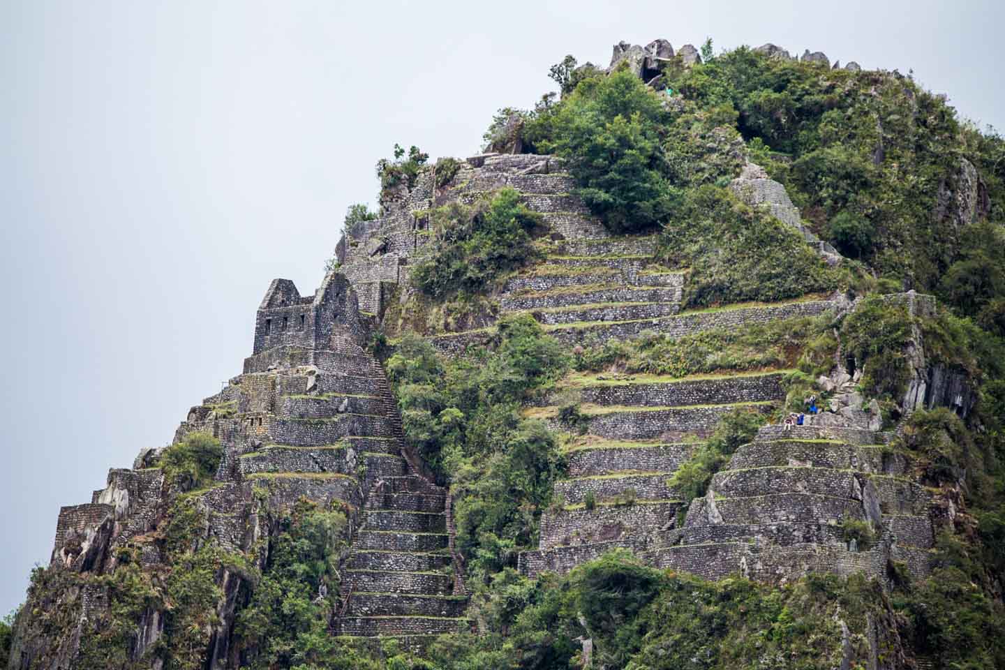 Ruins perched on the side of Huayna Picchu, Machu Picchu, Peru
