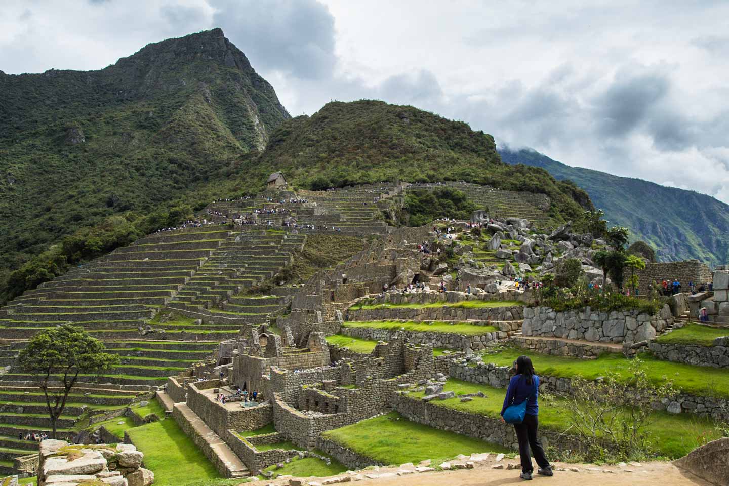 Julie admiring the terraces of Machu Picchu, Peru
