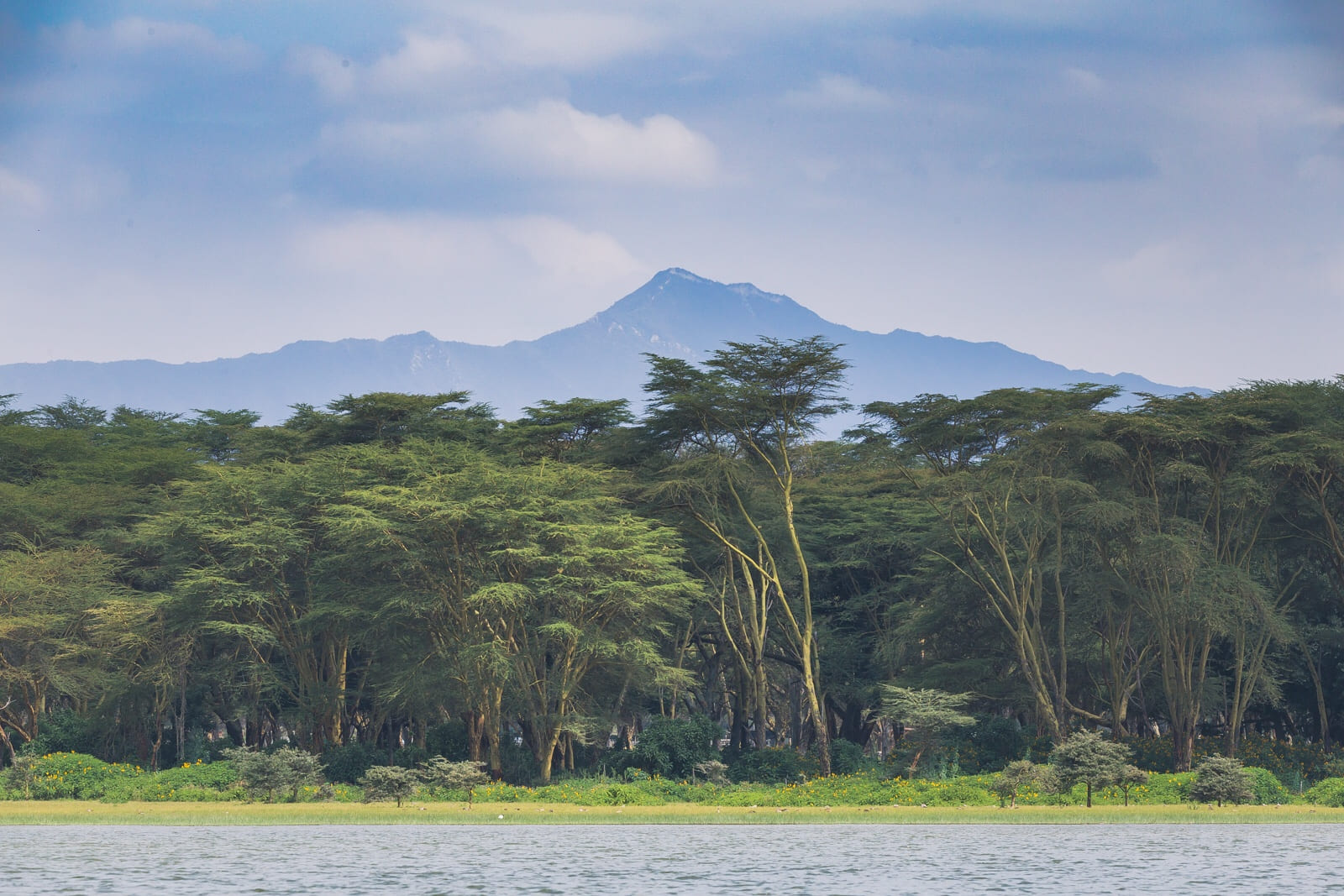 Landscape in Lake Naivasha - such a change compared to the Maasai Mara!