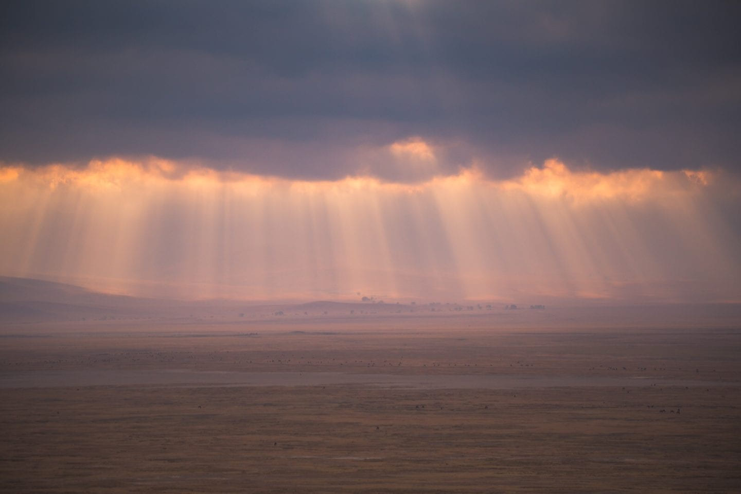 Sun beams breaking through the clouds in the Ngorongoro crater.