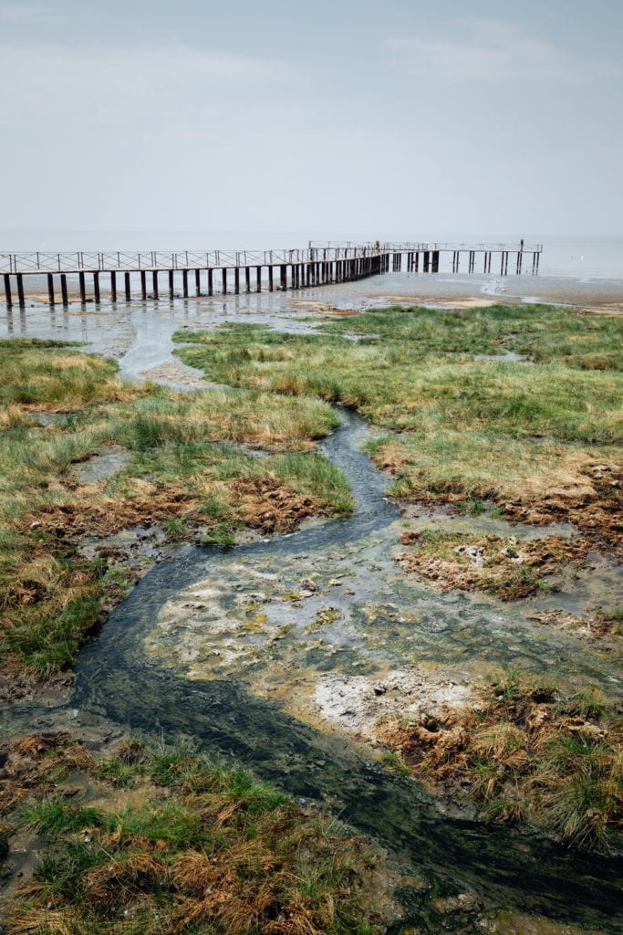 Hot spring river flowing into Lake Manyara.