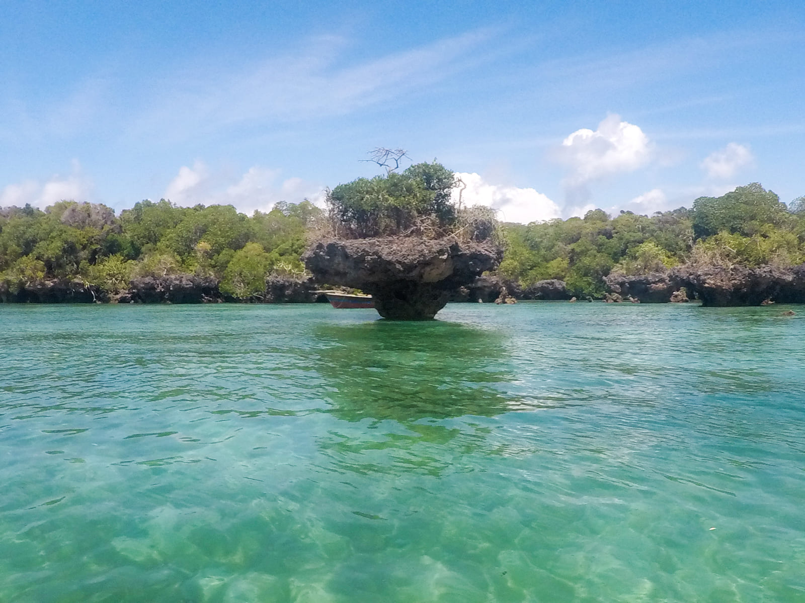Rock formation on Kwale Island, Zanzibar