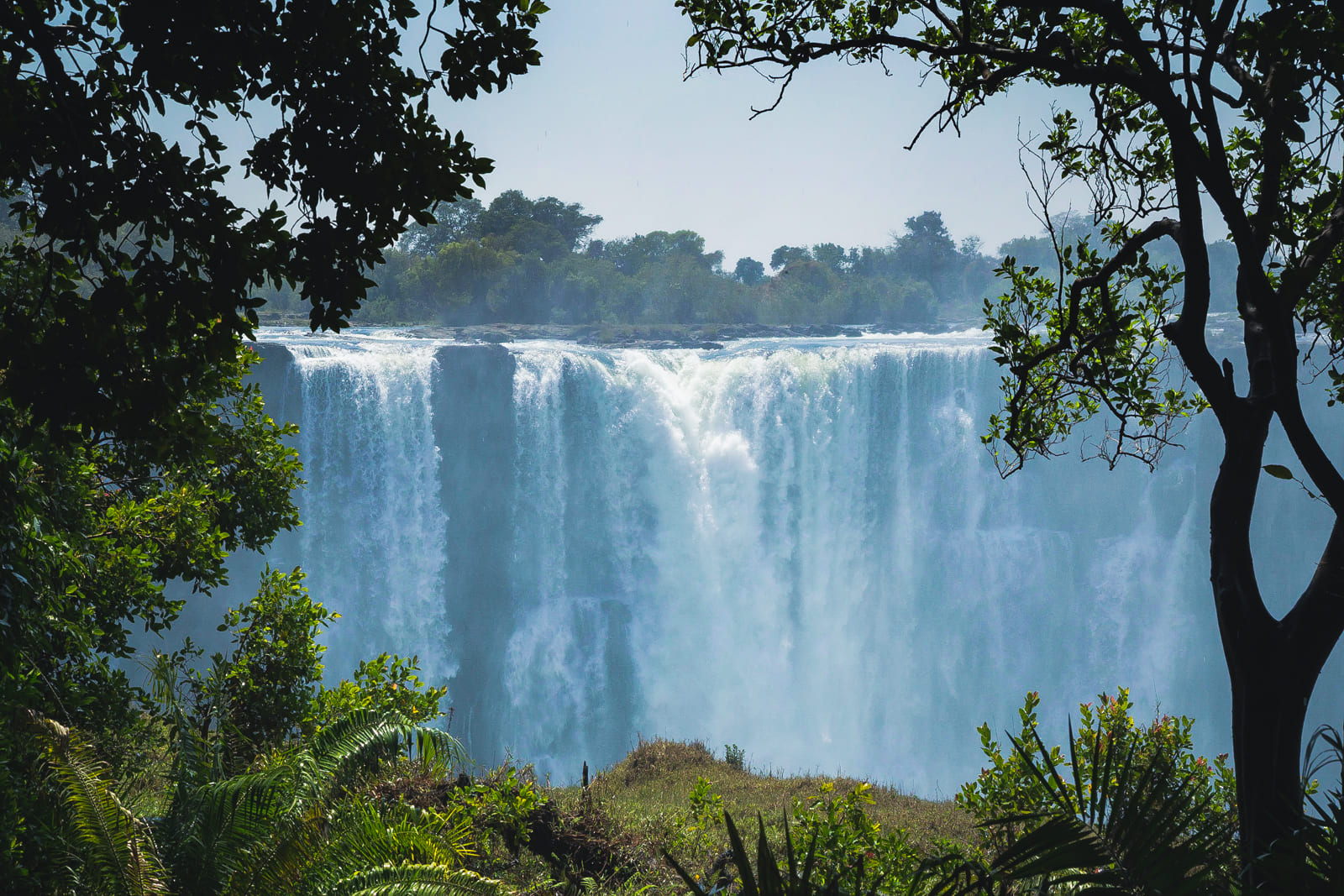 Victoria falls framed by lush green trees, Victoria Falls, Zimbabwe