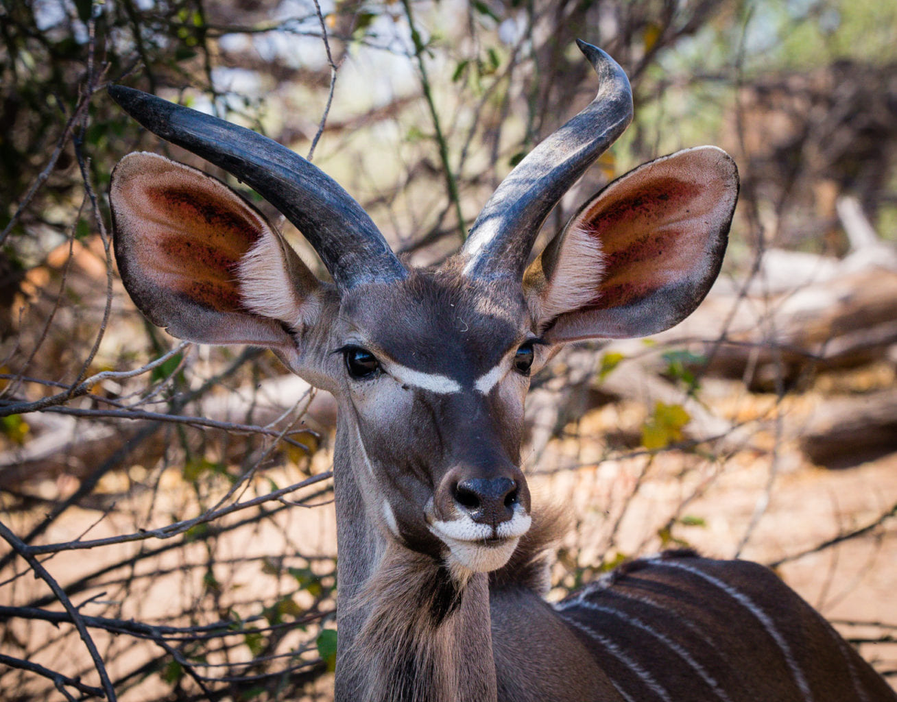 Botswana