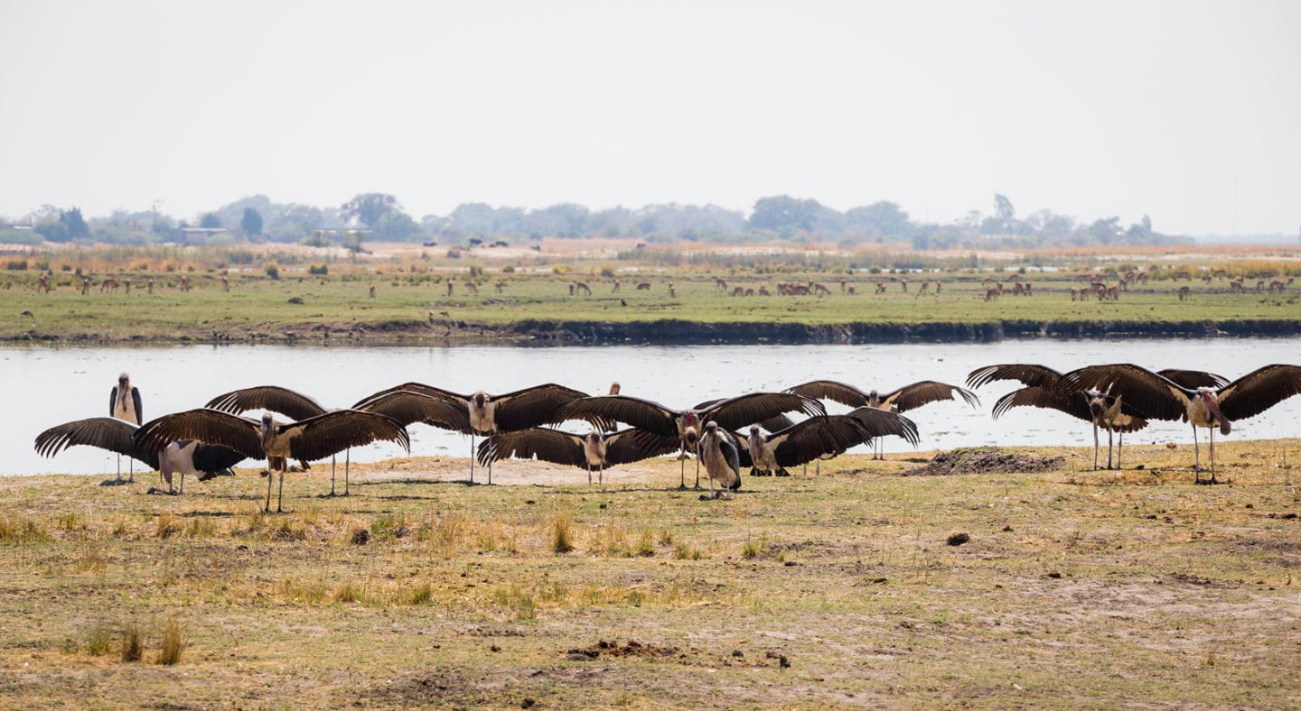 Botswana