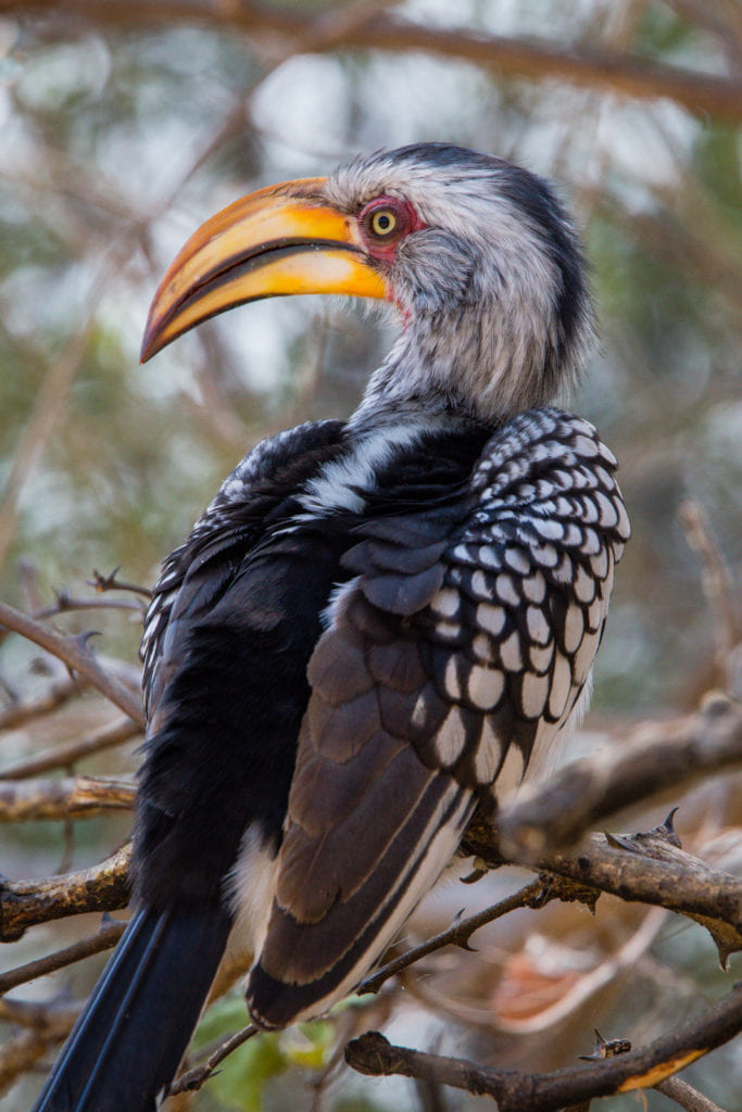 Botswana