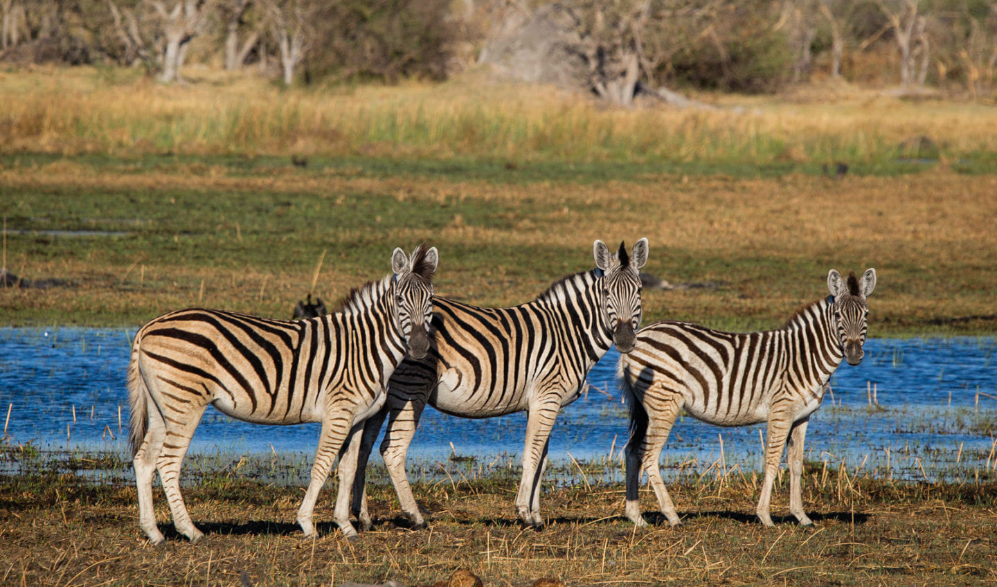 Botswana