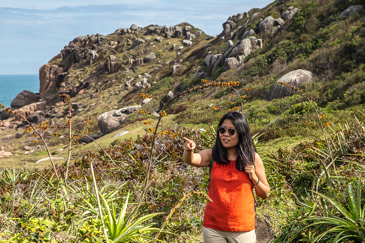 Curious Julie along the trail in Guarda do Embau, Brazil