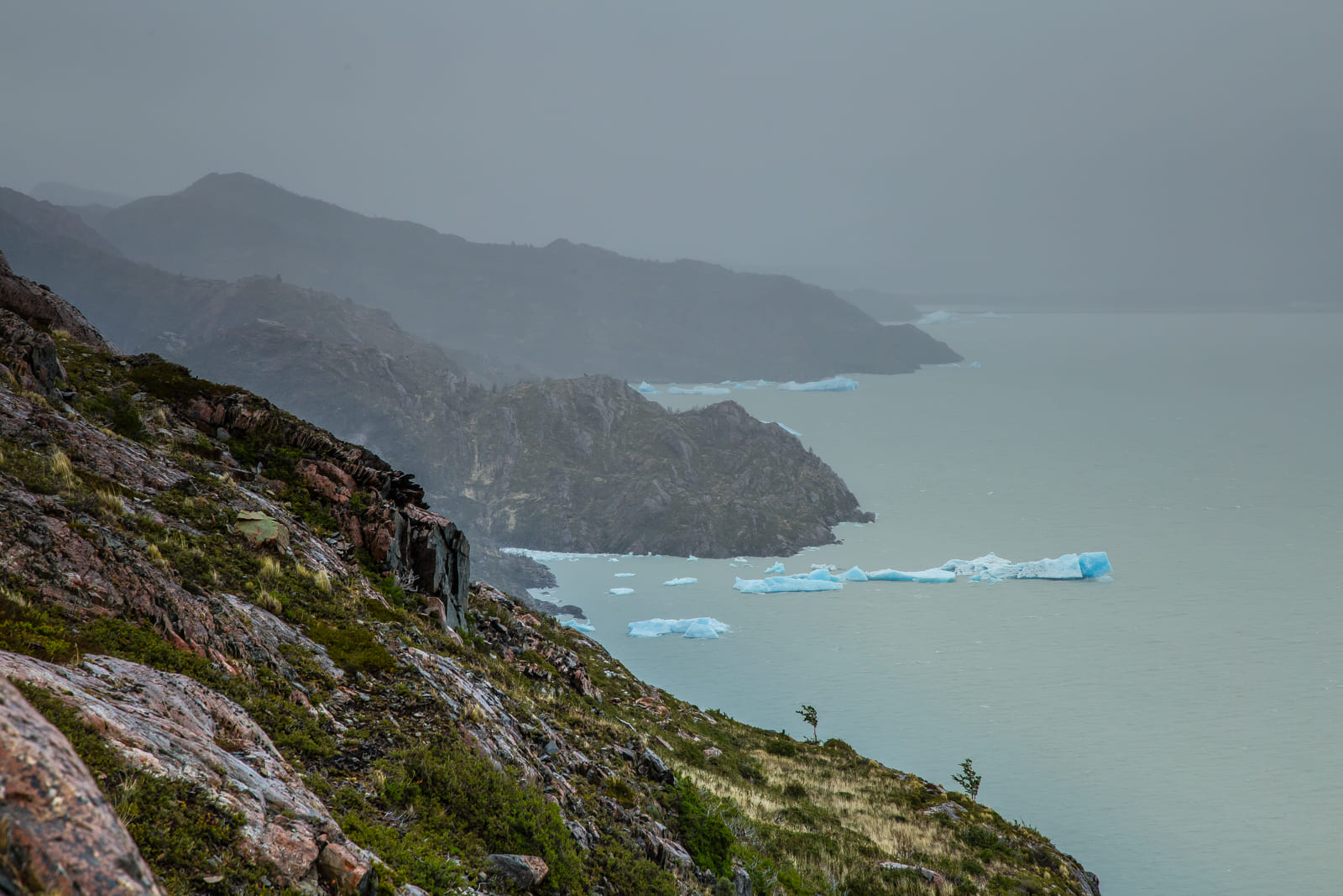 Ice bergs on Lago Grey, Torres del Paine.