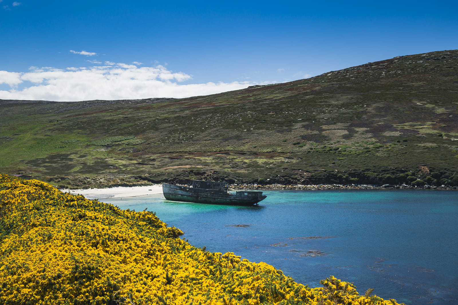 Shipwreck on New Island, Falklands