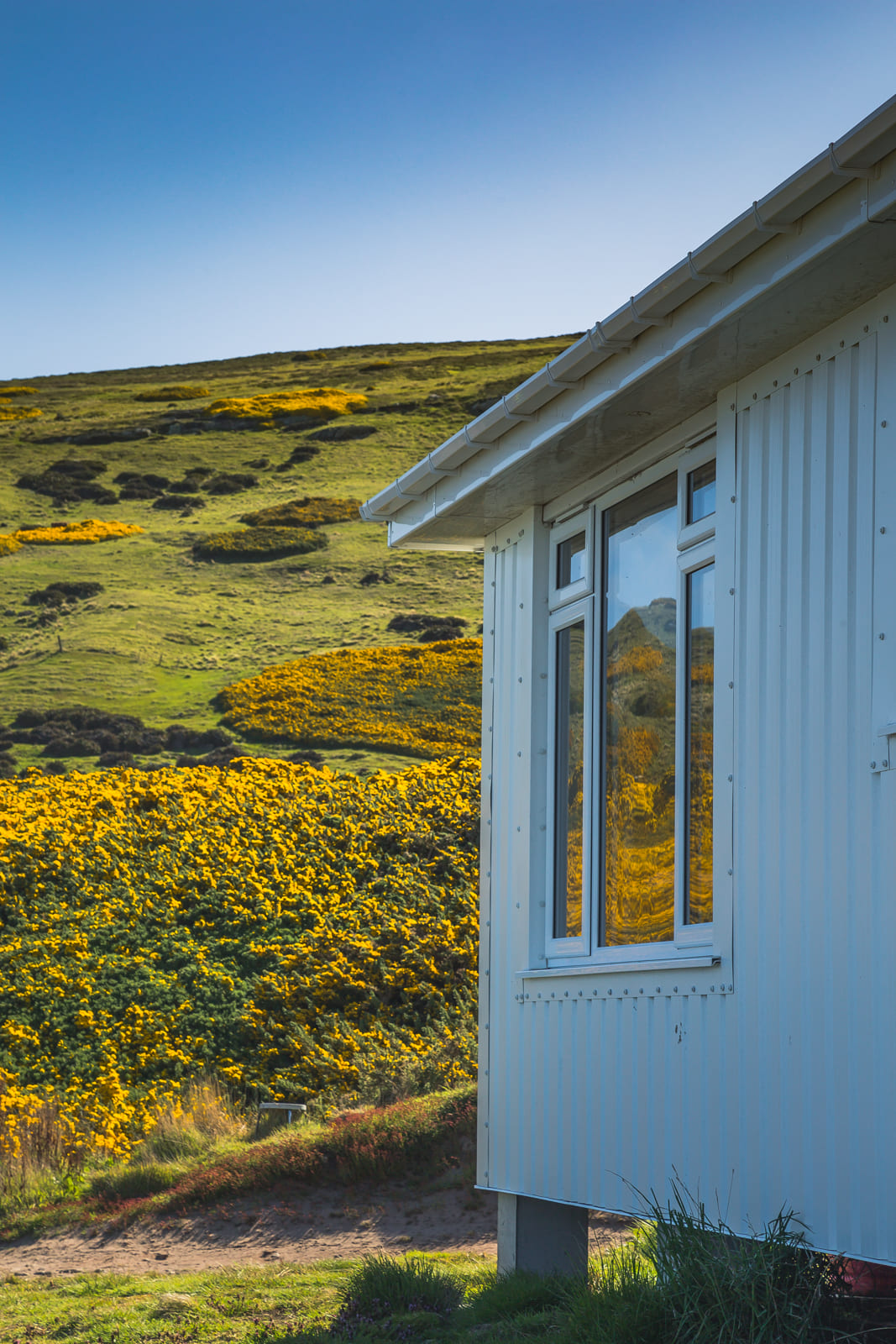 Home on Carcass Island, Falklands