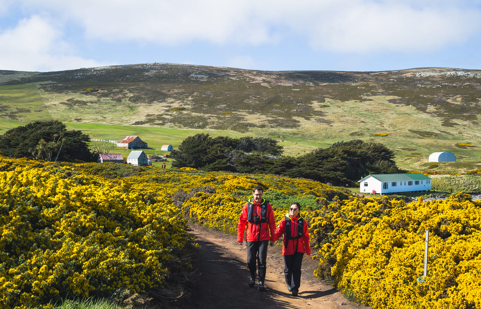 Julie and Carlos walking on the field of gorse, Carcass Island, Falklands