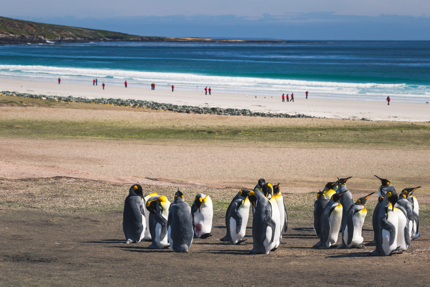 Falkland Islands