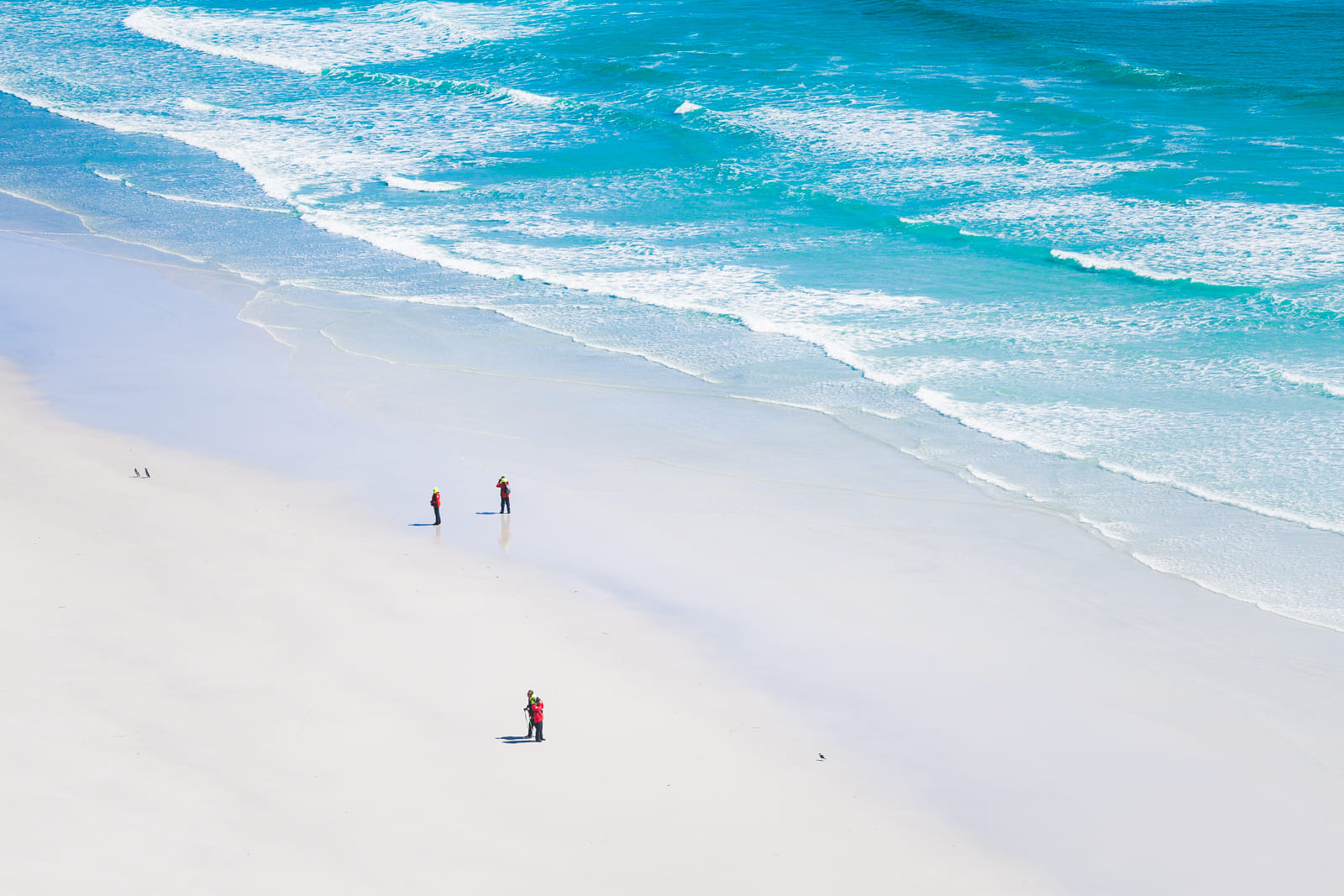 Beach on Saunders Island, Falklands
