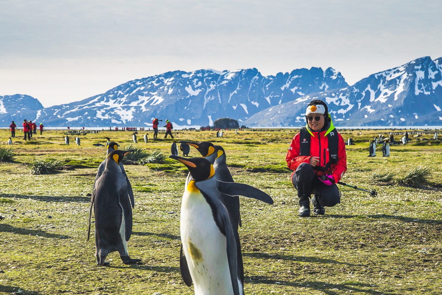 Julie and king penguins, Salisbury Plain, South Georgia