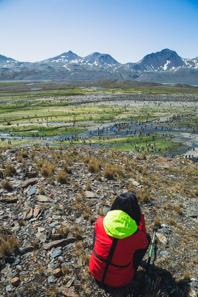 Julie overlooking the penguin colony is Fortuna Bay, South Georgia