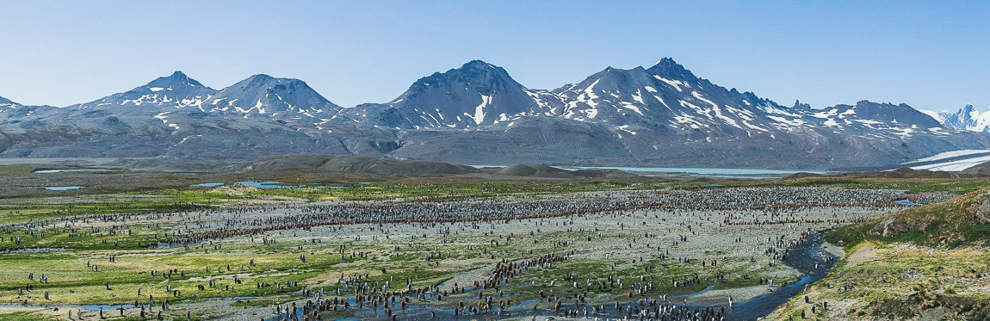 Panoramic view of Fortuna Bay, South Georgia