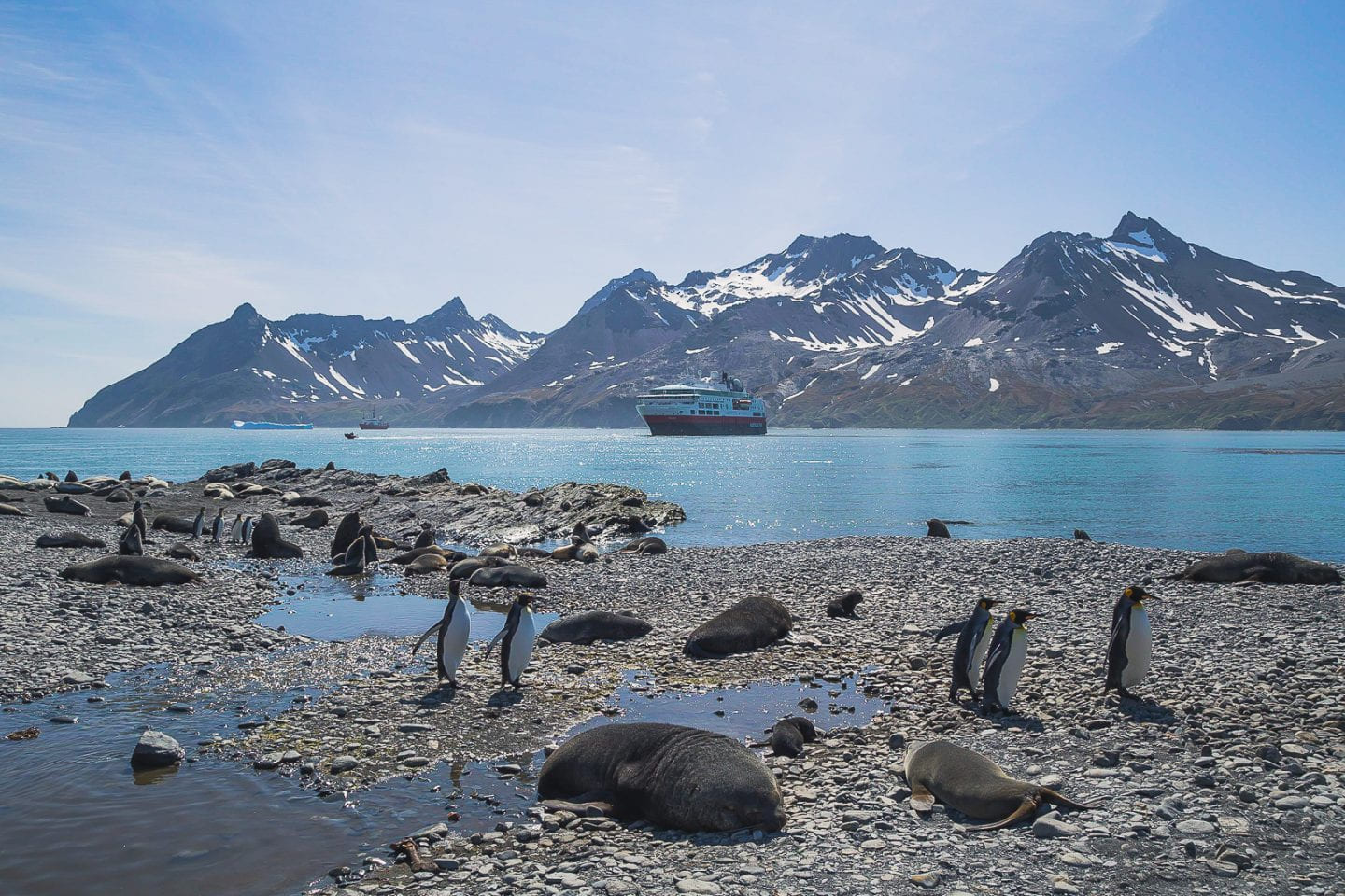 Beach in Fortuna Bay, South Georgia
