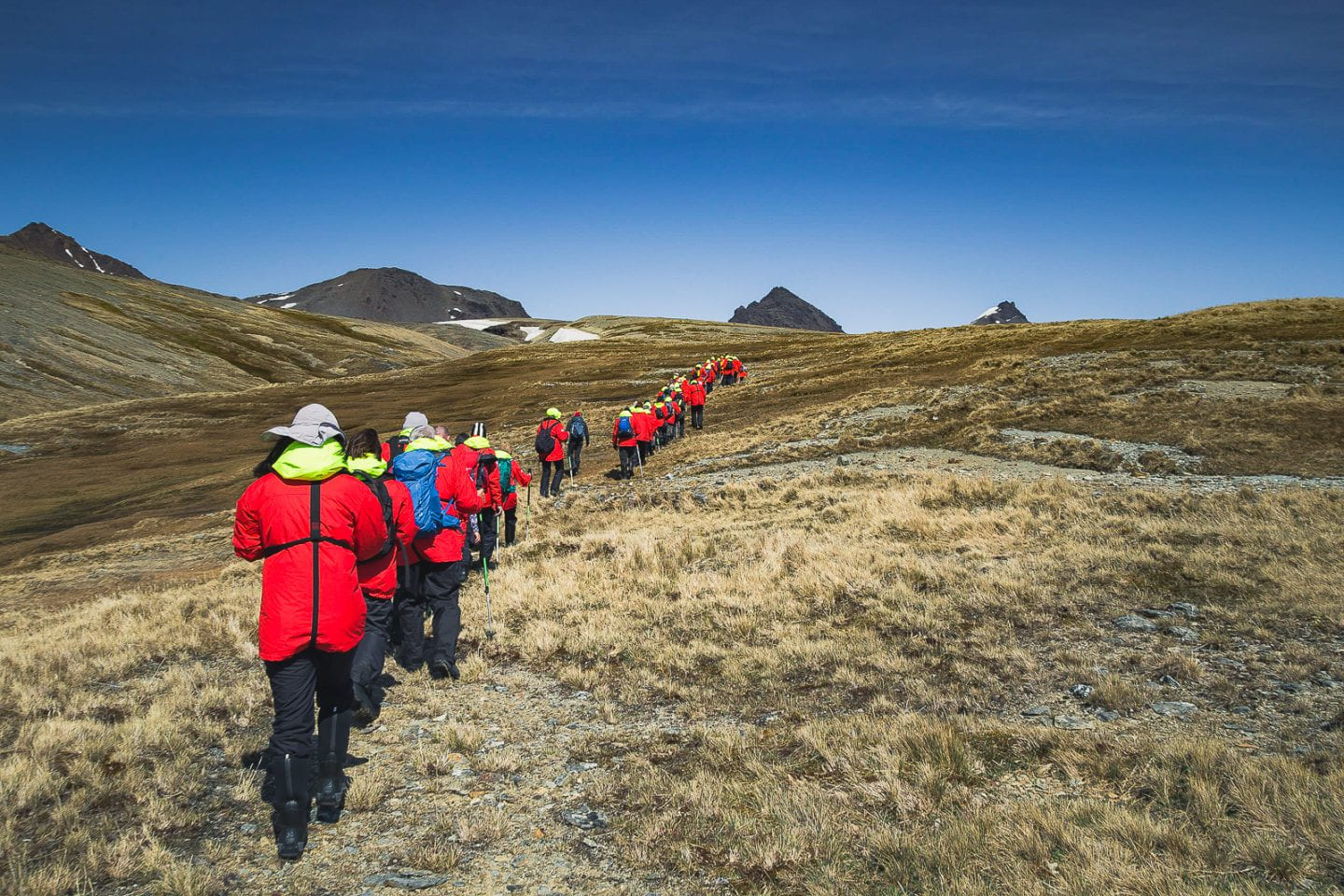 Starting the Shackleton hike, Fortuna Bay, South Georgia