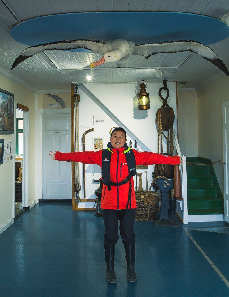 Julie and a wandering albatross, Grytviken, South Georgia
