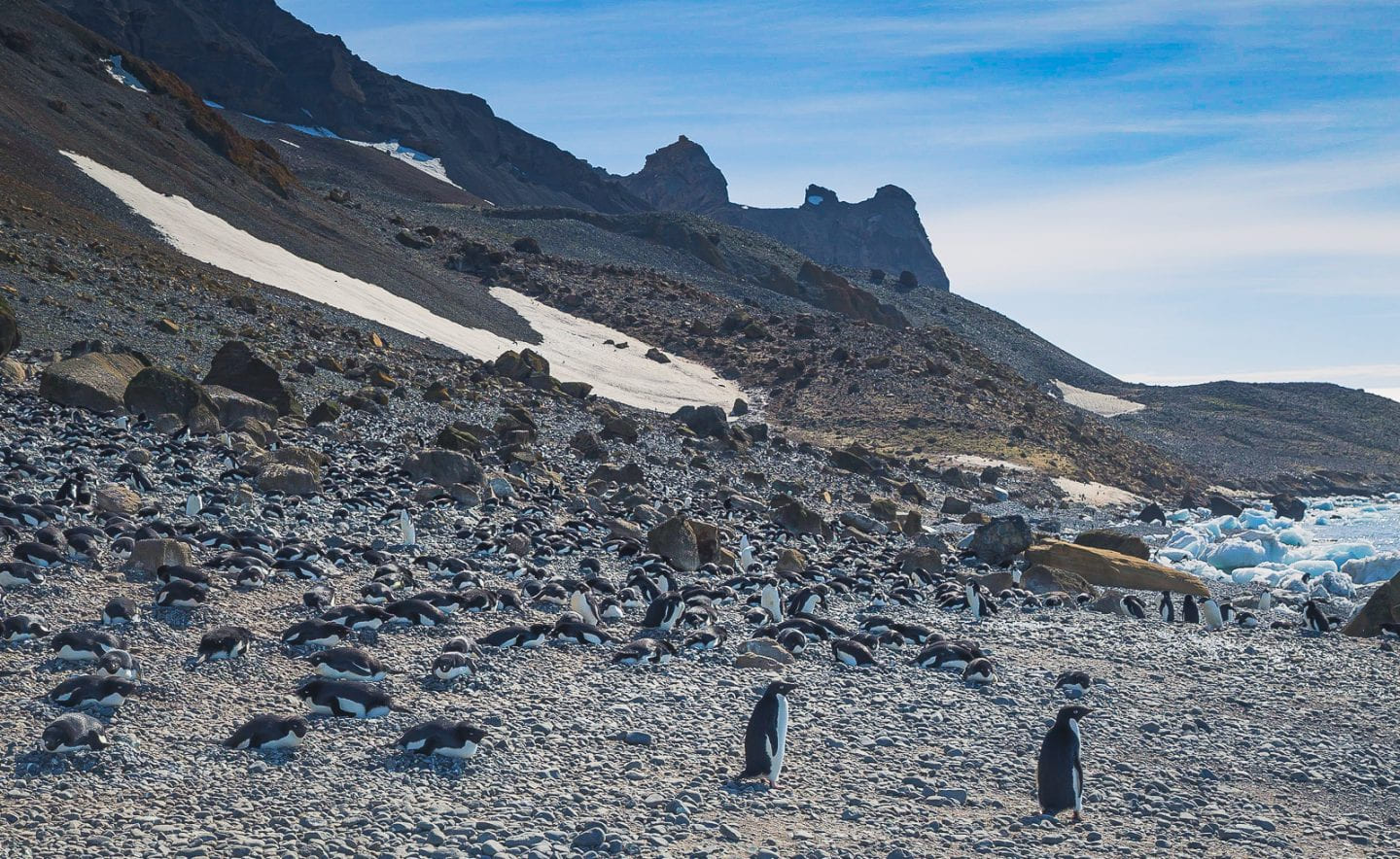Brown Bluff landing site