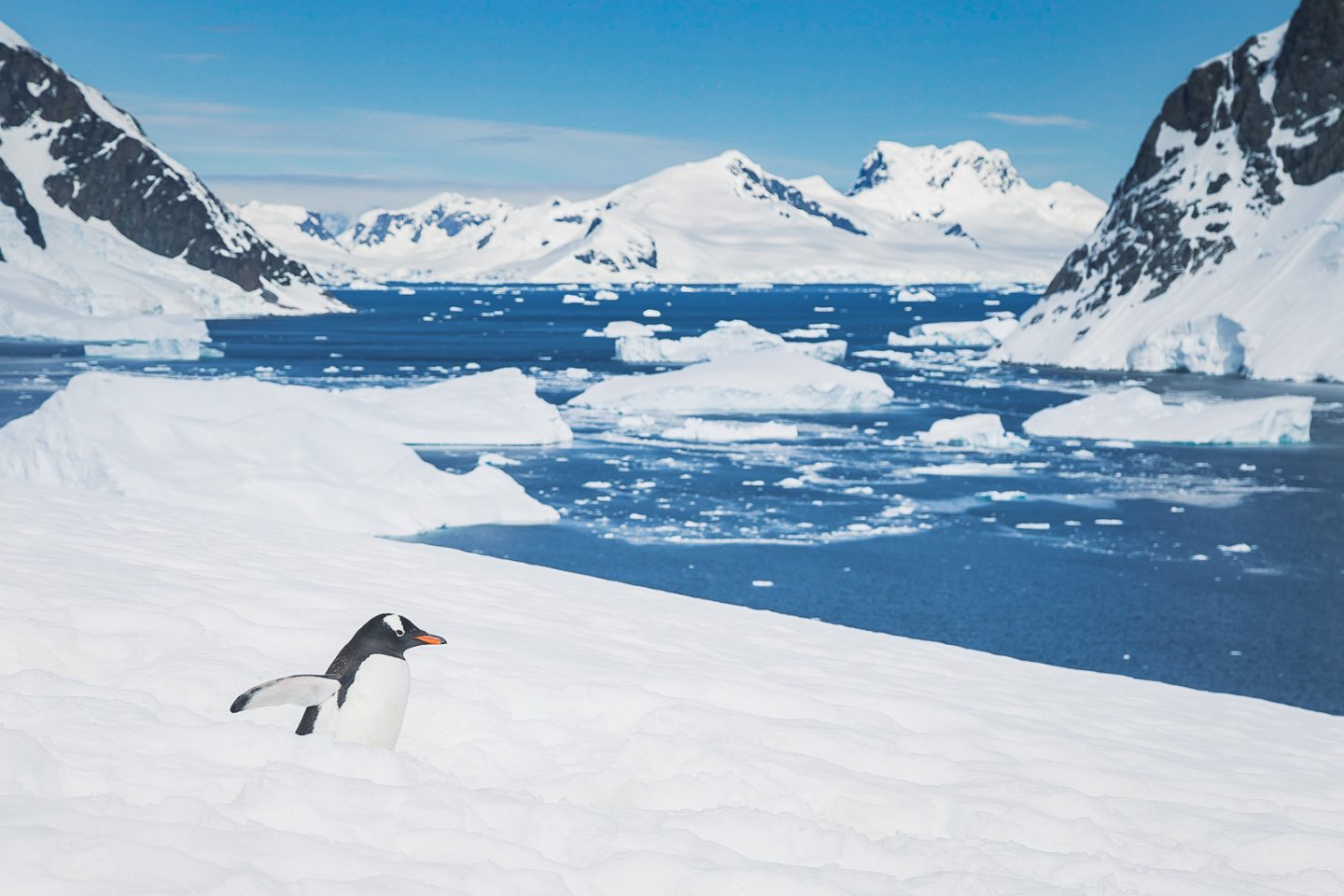 View from the top of Danco Island, Antarctica