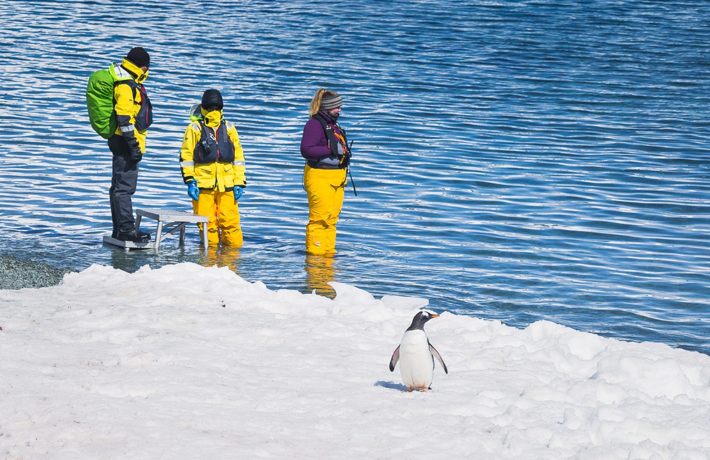 Expedition Team members at a landing site