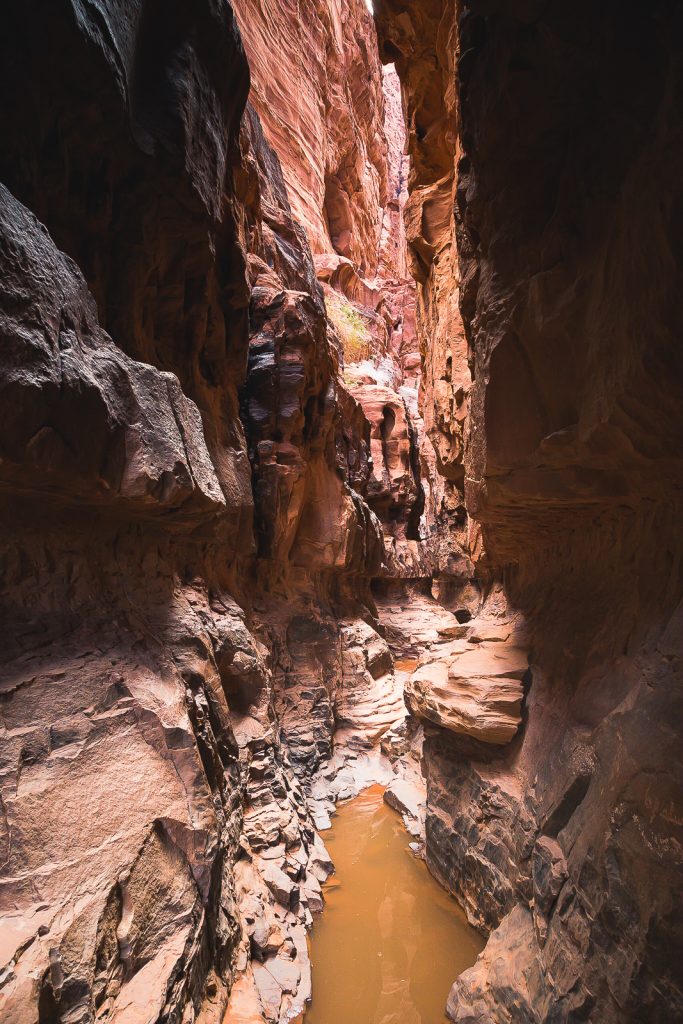 Canyon in Wadi Rum, Jordan