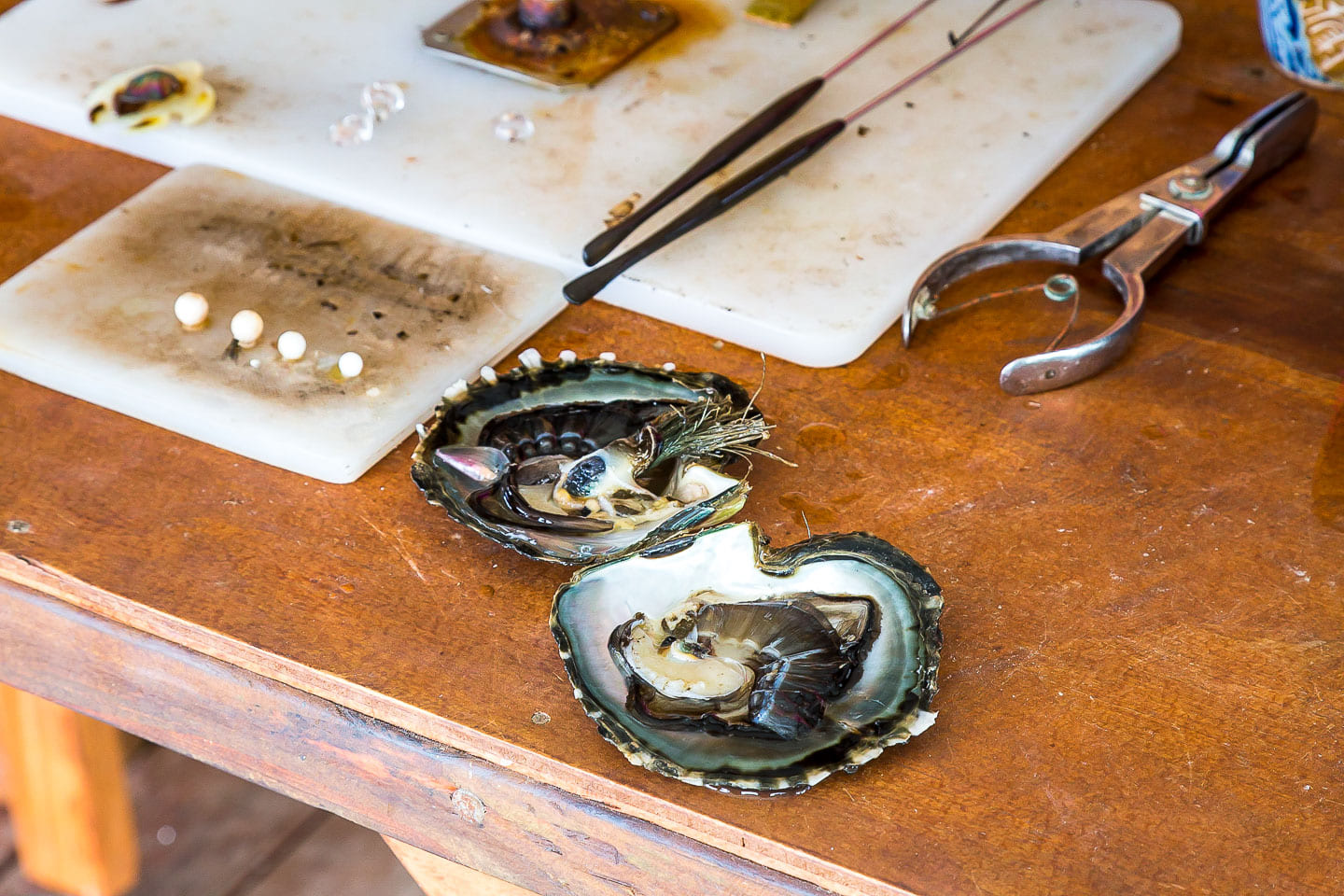 Pearl farm in Huahine, French Polynesia