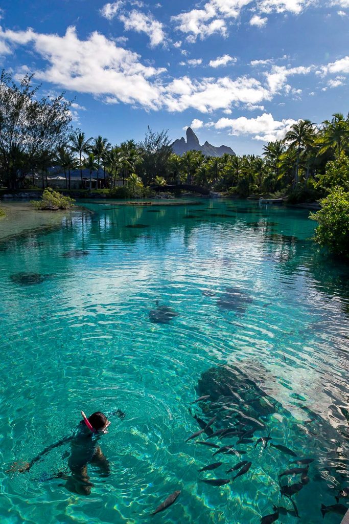 Julie snorkeling at the St. Regis Bora Bora lagoonarium, French Polynesia 