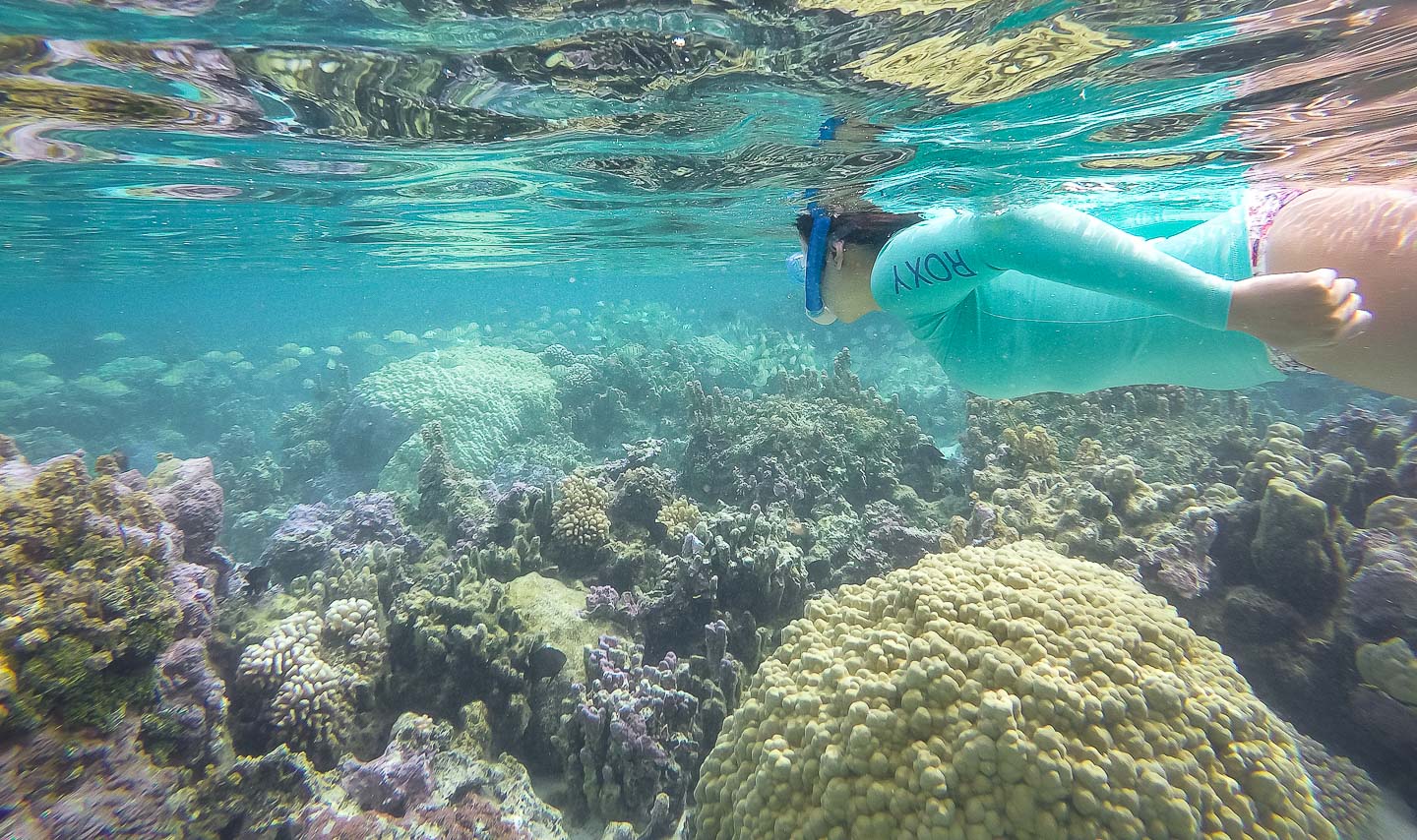 Julie snorkeling at the coral garden, Bora Bora, French Polynesia
