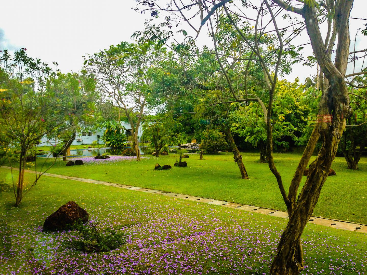 Garden outside Colombo International Airport, Sri Lanka