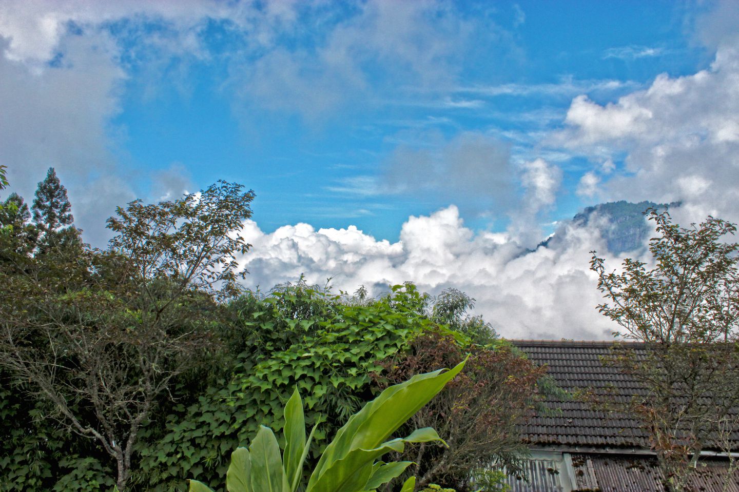 Above the clouds