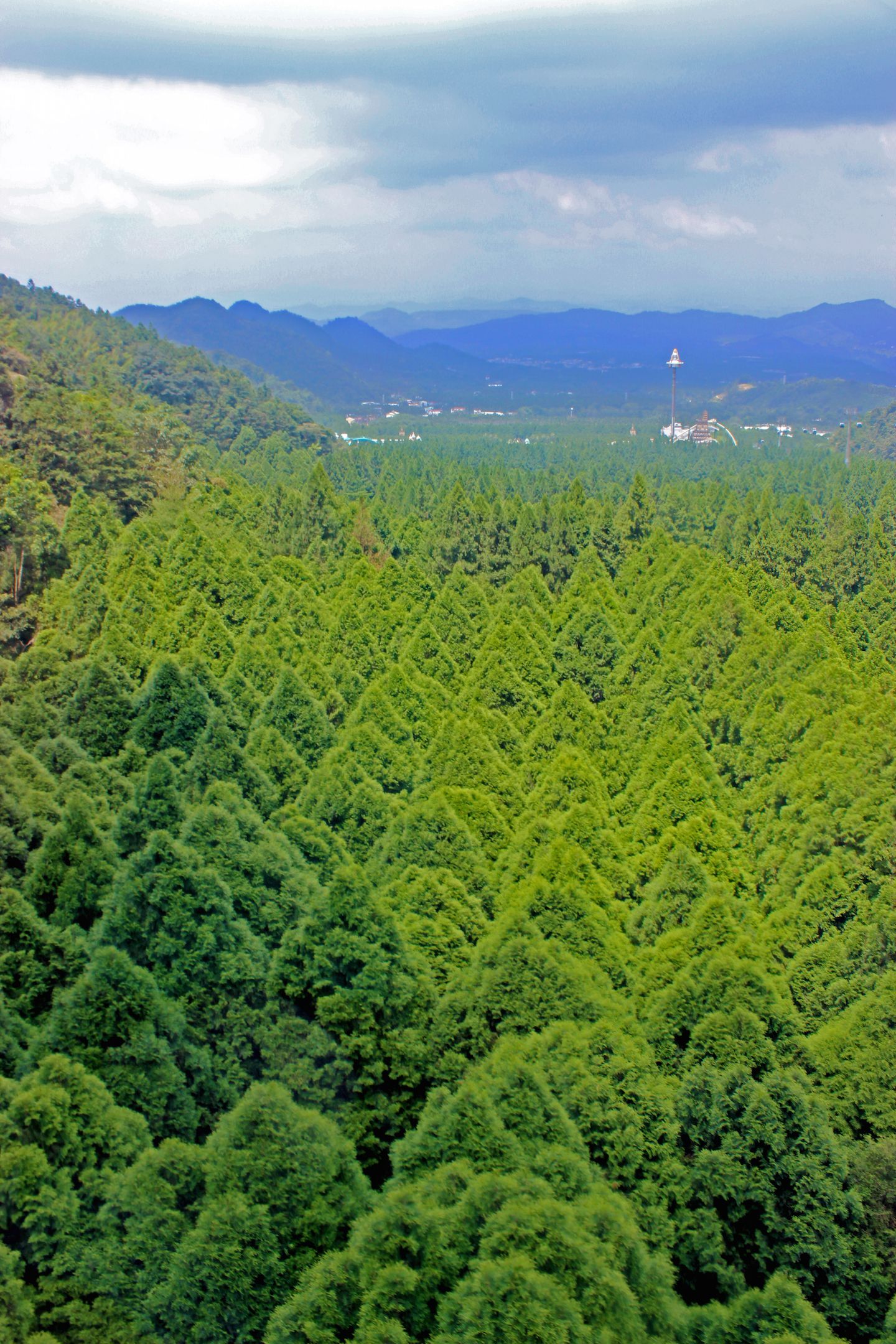 Aerial garden at the Aboriginal Village