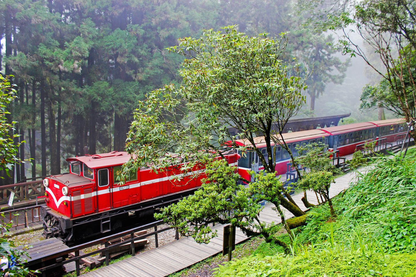 Alishan railroad