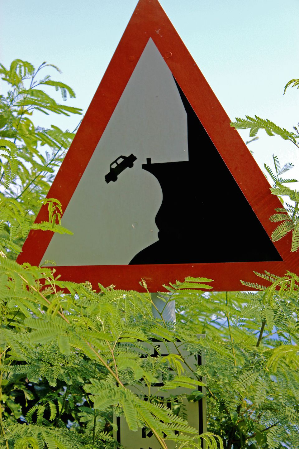 Apparently falling cars is a thing here